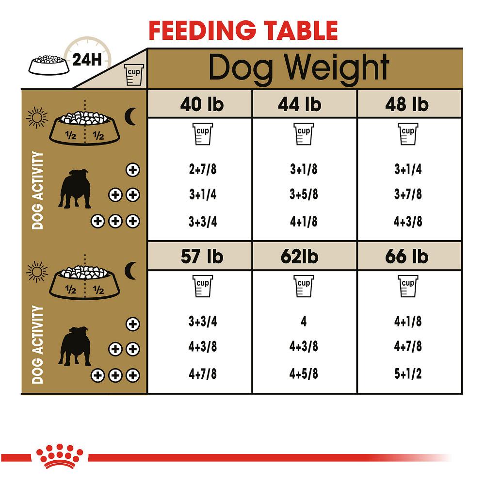 Royal Canin Breed Health Nutrition Bulldog Adult Dry Dog Food