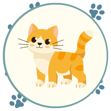 CatCheerful orange tabby cat with stripes stands inside a teal circle, tail raised and paws visible, surrounded by blue paw prints.