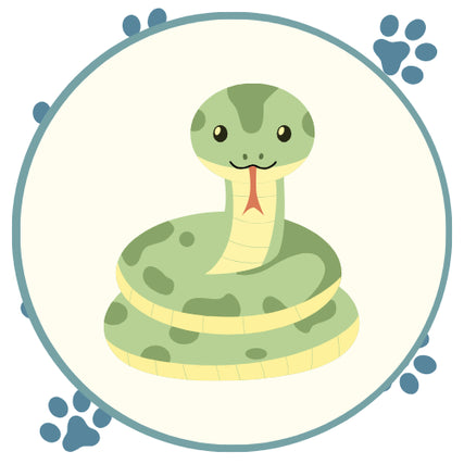 ReptileCute green snake with a yellow belly, red forked tongue, and friendly eyes, coiled inside a teal circle with blue paw-print accents.