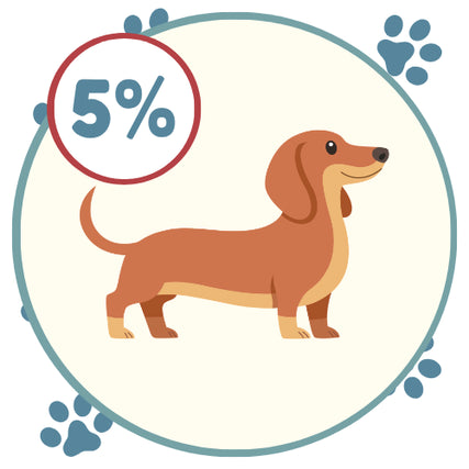 Monster Club: 5% Cash BackCartoon dachshund stands cheerfully inside a circular frame, with a bold 5% discount badge and blue paw prints around the border.
