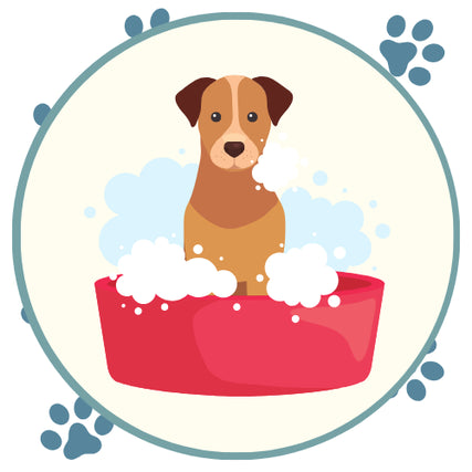 Self-Serve Dog WashCute brown-and-white puppy sits in a bright red bathtub filled with bubbly foam, inside a teal circle with blue paw prints; playful tone.
