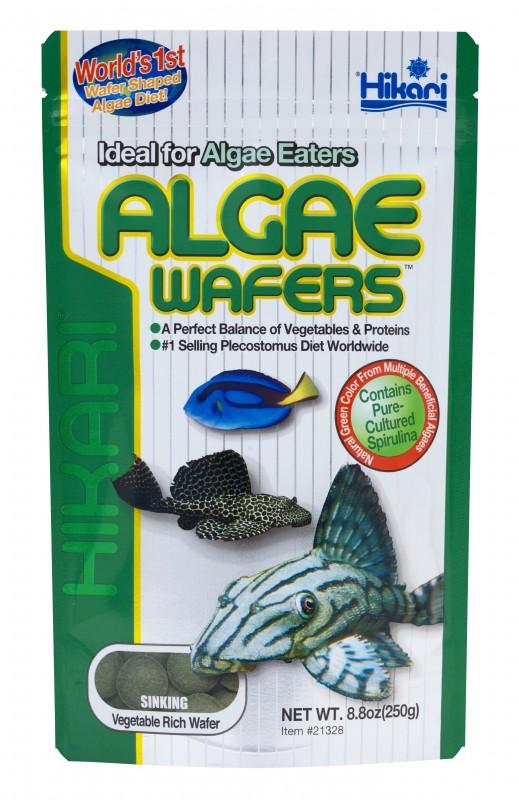 Hikari Algae Wafers