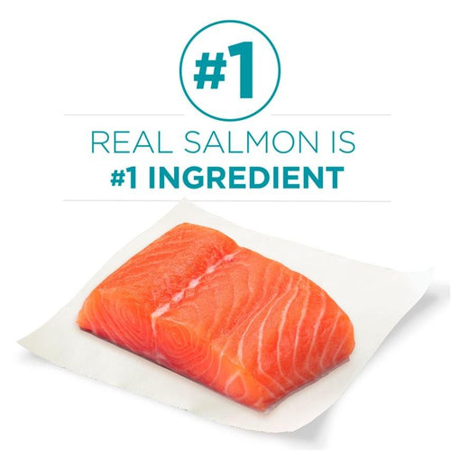 Purina ONE Tender Selects Blend Real Salmon Dry Cat Food