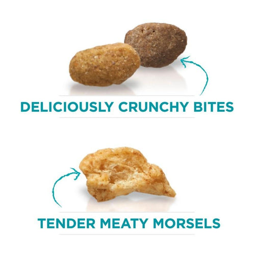 Purina ONE Tender Selects Blend Real Salmon Dry Cat Food