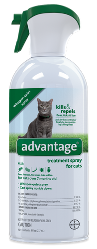 Bayer Advantage Treatment Spray for Cats Philadelphia, PA