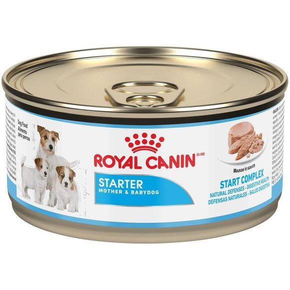 Royal Canin Starter Mother & Babydog Mousse Canned Dog Food