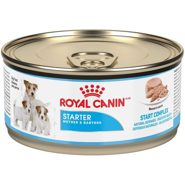 Royal Canin Size Health Nutrition Starter Mother & Babydog Mousse in Sauce  Wet Dog Food (CA), 5.82-oz (**)