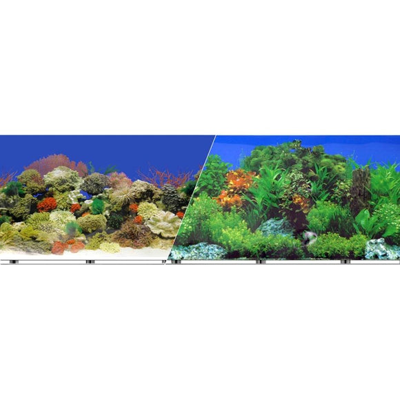 BLUE RIBBON BACKGROUND DOUBLE-SIDED CORAL REEF/FRESHWATER