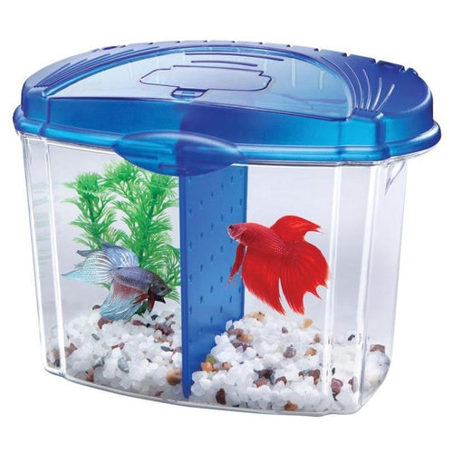 betta fish trinket box AQUEON BETTA BOWL KIT WITH DIVIDER - Philadelphia, PA